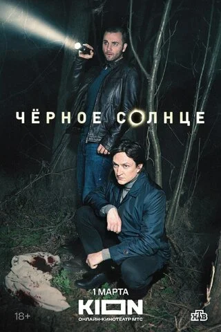 Чёрное солнце - постер